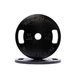 Cast Iron Machined Weight Plate Pairs